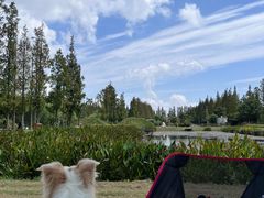 -前小桔亲子创意农场·草莓采摘·露营烧烤