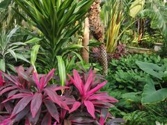 -北京植物园-展览温室