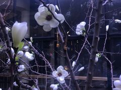 -韩盛·盛江山自助料理(于洪新玛特店)