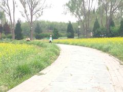 -北坞公园