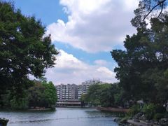 -荔湾湖公园