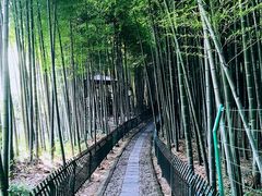 -宝岩生态观光园