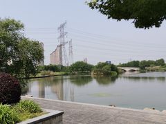 -九里河湿地公园