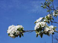 -海棠花溪(元大都城垣遗址公园)