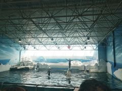 -秦皇岛乐岛海洋王国