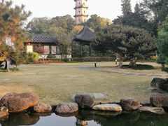 -江心屿景区