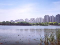 -南翔镇银翔湖公园