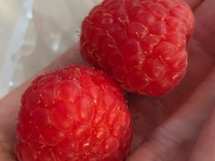 -果叔叁拾加(锦绣生态园店)