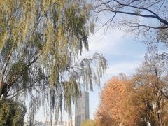 -后襄河公园