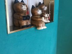 -飞行喵MR PILOT|猫舍·猫咖(静安大融城店)