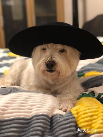 这个时候发朋友圈的人一般都是明天自然醒的节奏嘛……哈