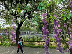 -广东花都香草世界旅游度假区