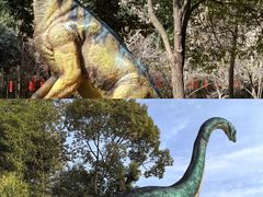 -西峡恐龙遗迹园