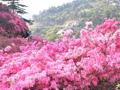-木兰云雾山