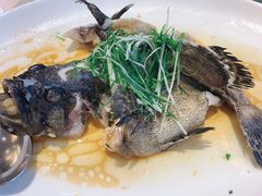 -海逸海鲜酒家(古北店)