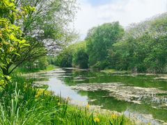 -梁鸿国家湿地公园