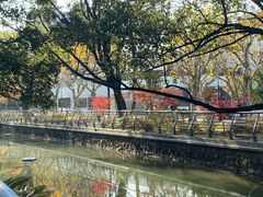 -华东理工大学徐汇校区-图书馆
