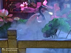-韵秋荷(宝山龙湖天街店)