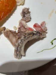 -新锦江大酒店·宴会厅·婚宴