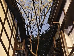 -磁器口古镇