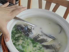 -紫藤园·天目湖大鱼头(南山竹海店)