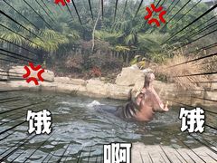 -上海野生动物园