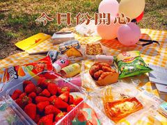 -朝阳公园