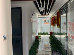 -新航道雅思托福·留学·考研培训(人民广场校区)
