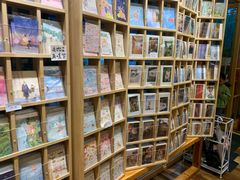 -猫的天空之城概念书店(束河店)