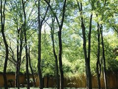 -兰拓相机租赁·二手(杭州店)