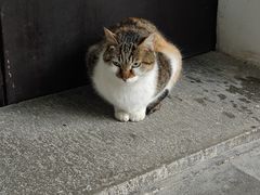 -西园戒幢律寺