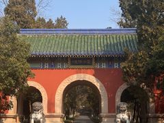 -灵谷景区