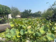 -洪湖家庭农场·团建·露营·会议