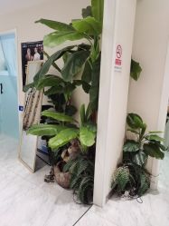 -健身堂科技美肌SPA