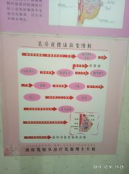 -骄阳兰多产后修复(徐东旗舰店)