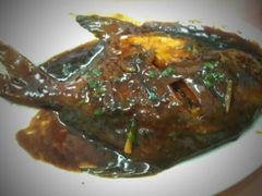 红烧鲳鱼-春餐厅
