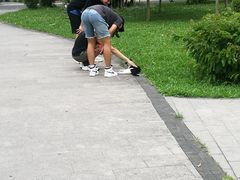-晓港公园