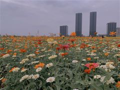 -映月湖中央公园