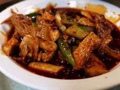 -龙翔山庄雷鸡肉(青城后山泰安古镇店)