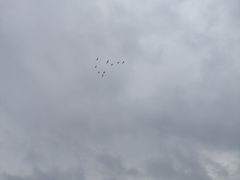 -澳门环岛游湾仔码头