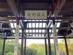 -长广溪湿地公园