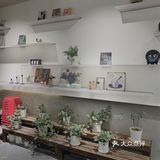 容易被忽视但绝对宝藏的书店[礼花]它真的好安静