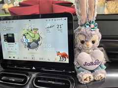 -上海浦东smart汽车全功能店(金桥店)