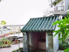 -杨梅坑
