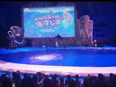 -华夏文旅海洋公园