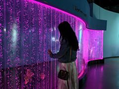 -泉城欧乐堡海洋极地世界