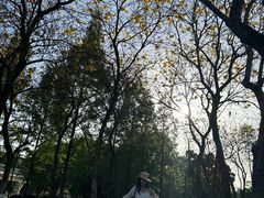 -白鹭湾湿地公园