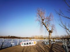 -东郊湿地公园