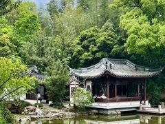 -嘉定紫藤园