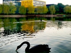 -金桥现代产业园区-停车场